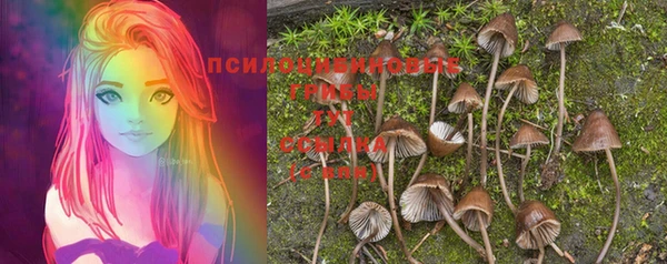 бошки Алексин